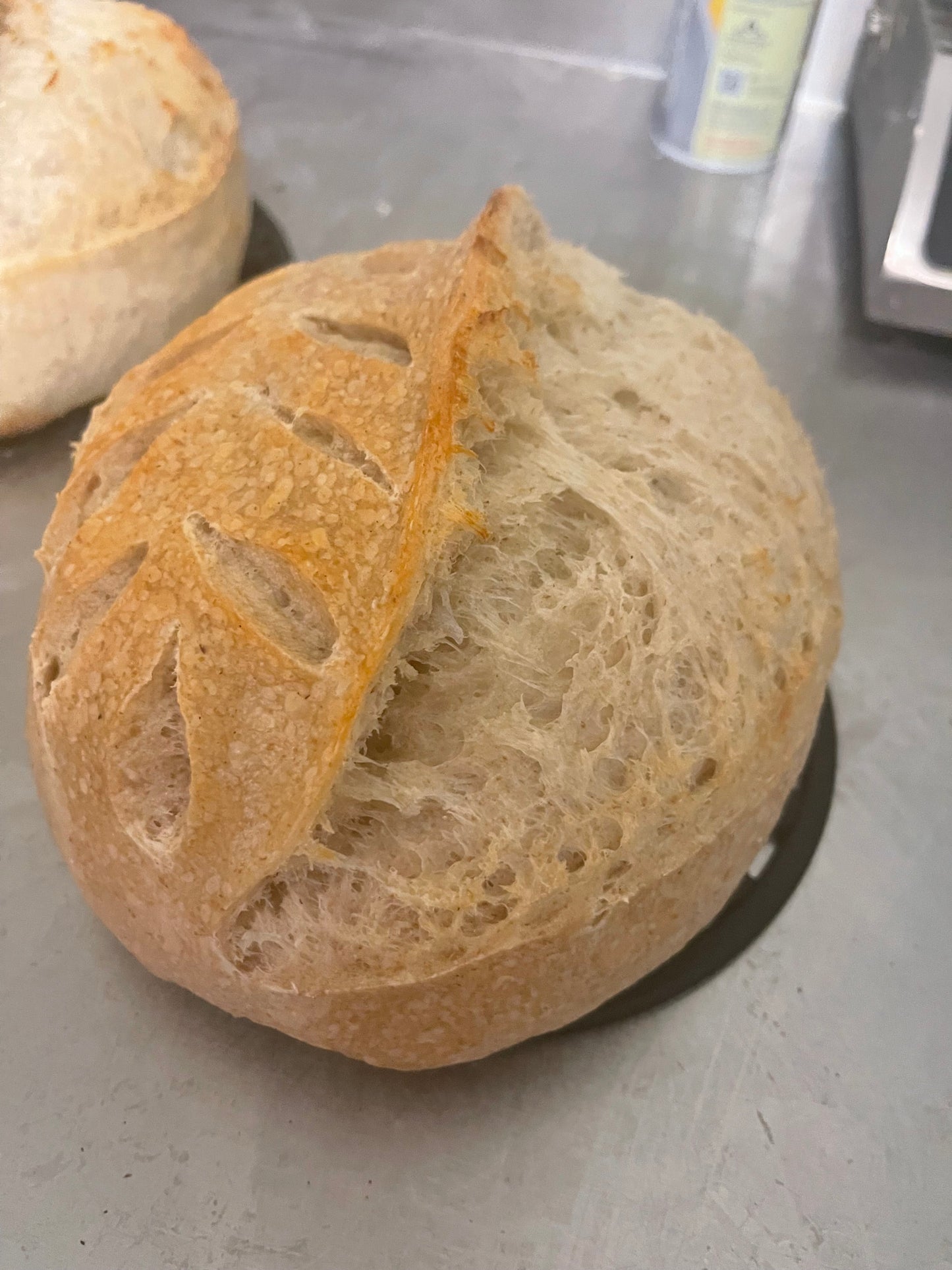 Cranberry Pecan Sourdough